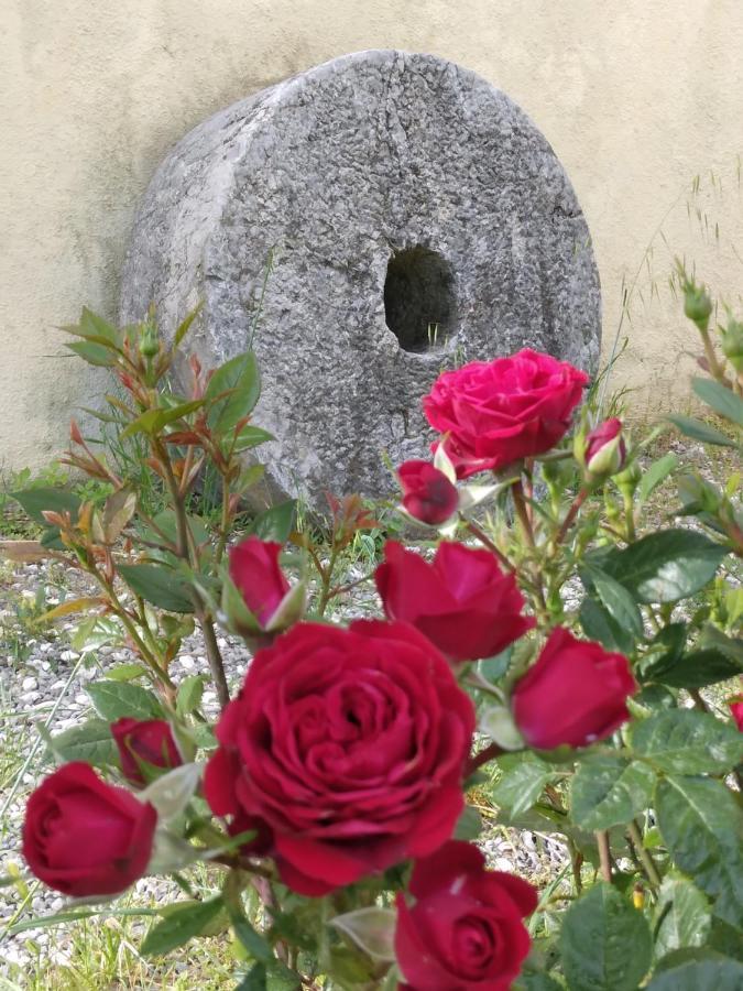 טורטורה Il Giardino Di Julia B&B מראה חיצוני תמונה