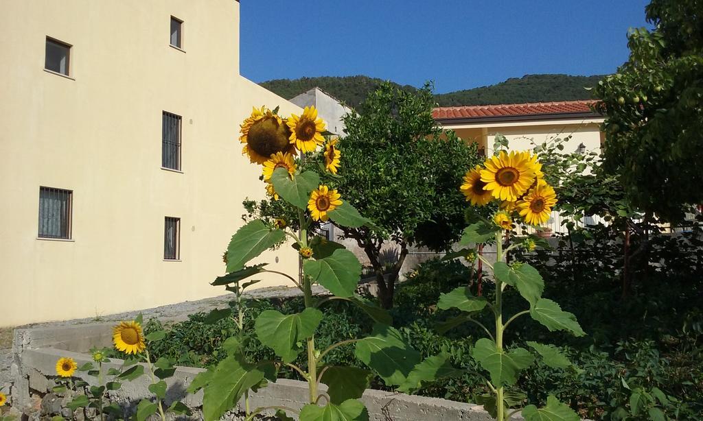 טורטורה Il Giardino Di Julia B&B מראה חיצוני תמונה