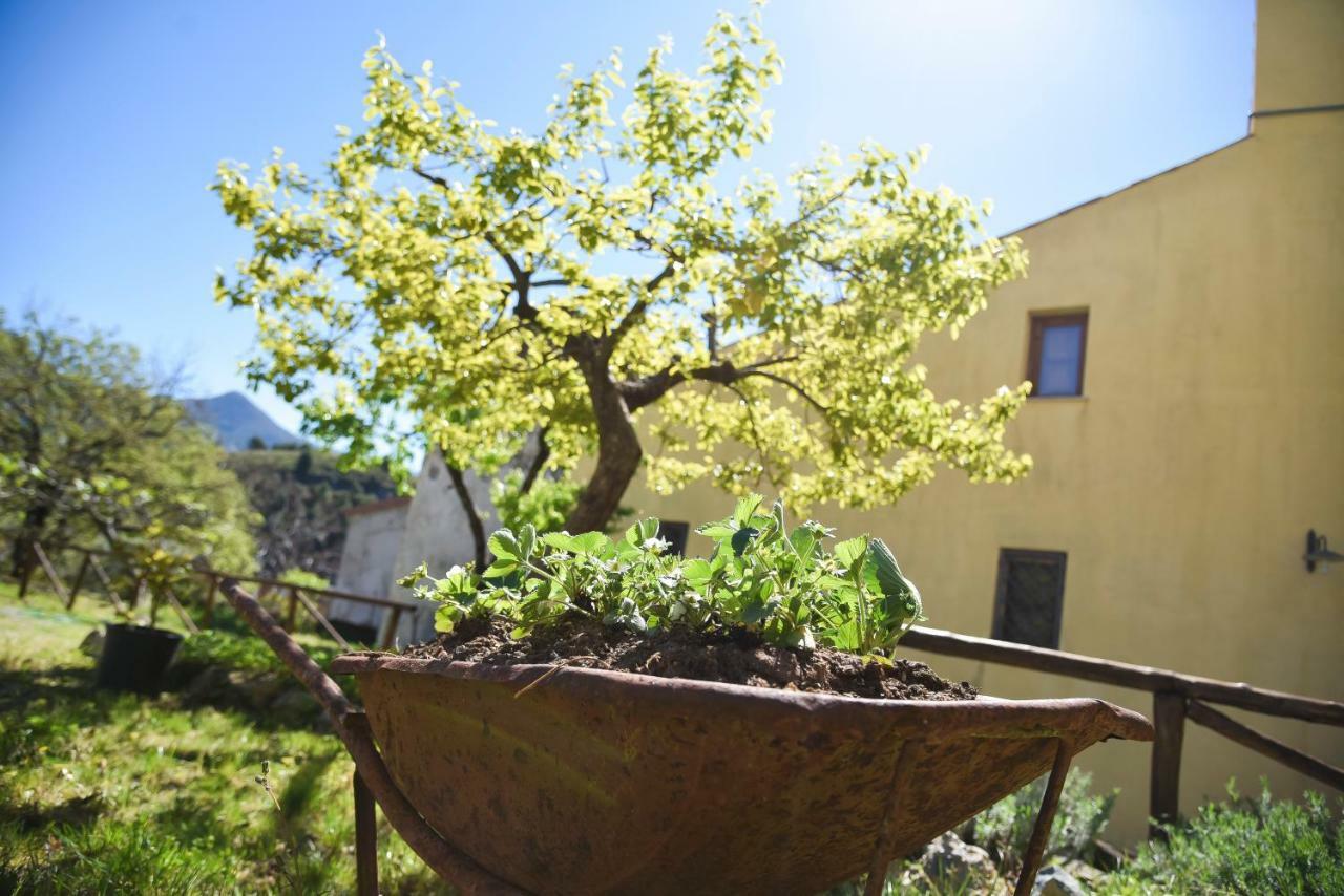 טורטורה Il Giardino Di Julia B&B מראה חיצוני תמונה